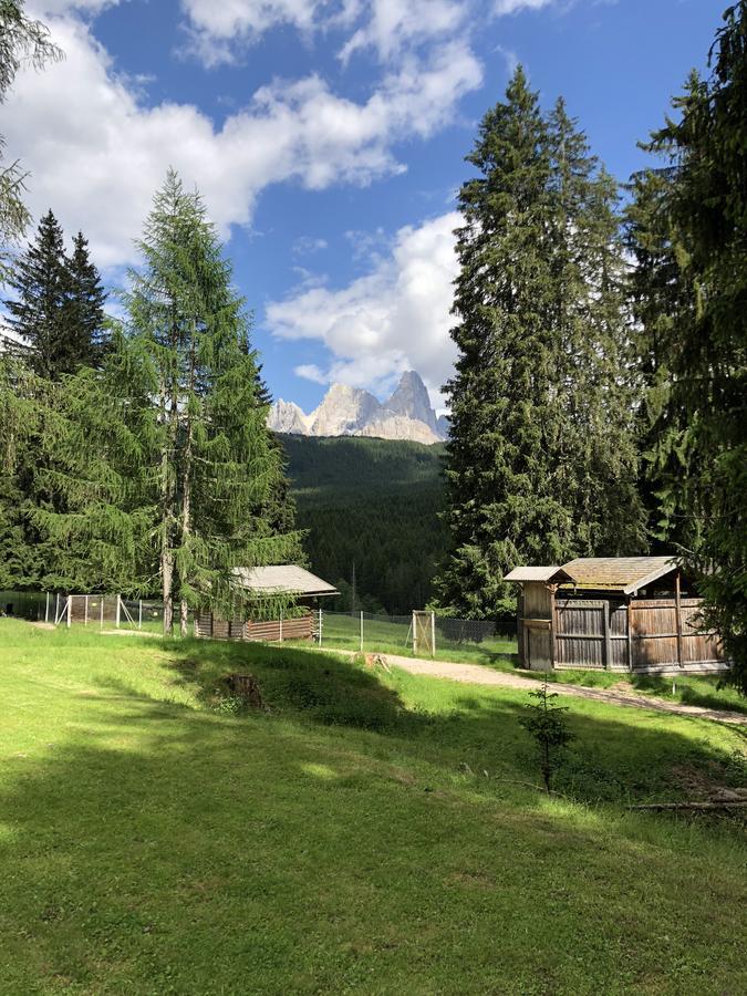 Albergo La Bicocca Paneveggio Zewnętrze zdjęcie